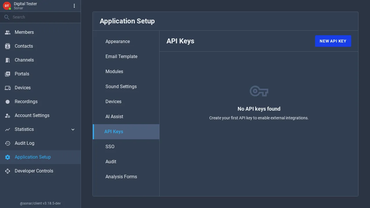 The API Keys tab of Application Setup showing an empty state that reads No API keys found, with a New API Key button