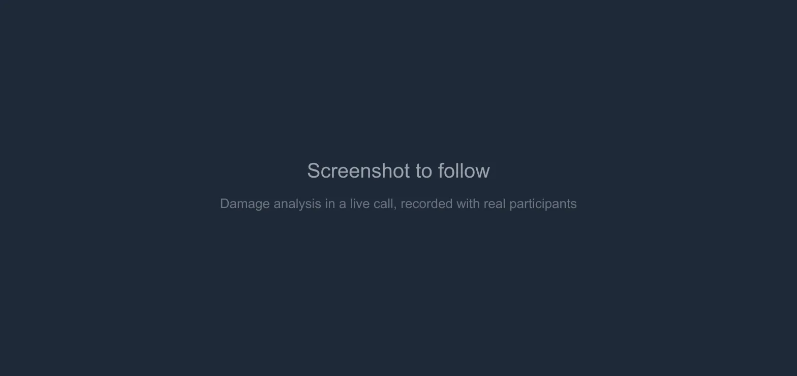 Damage analysis running in a call: the customer's camera on the main stage, the form checklist and the Findings and assistant rail